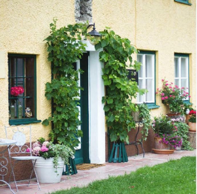 Ferienwohnung Alpenblick Kuchl Exterior photo